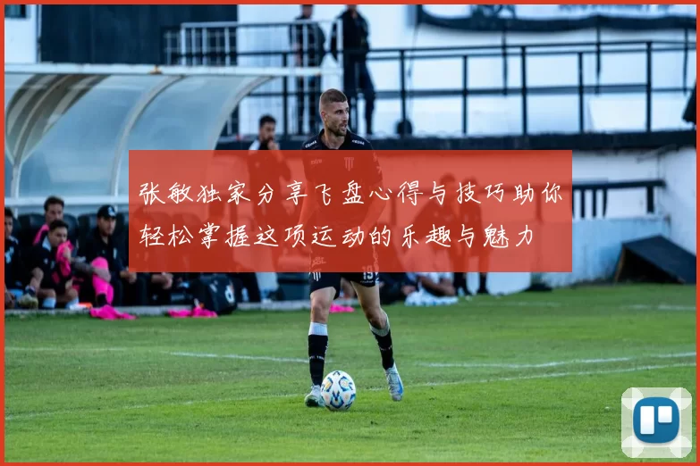 张敏独家分享飞盘心得与技巧助你轻松掌握这项运动的乐趣与魅力