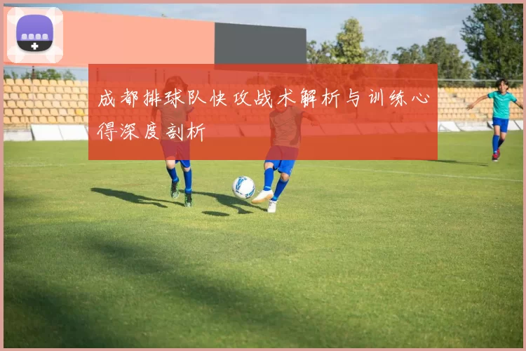 成都排球队快攻战术解析与训练心得深度剖析