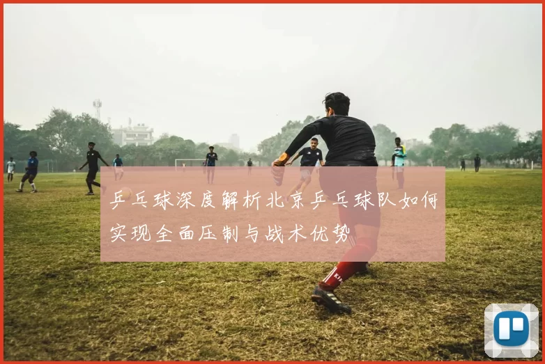 乒乓球深度解析北京乒乓球队如何实现全面压制与战术优势