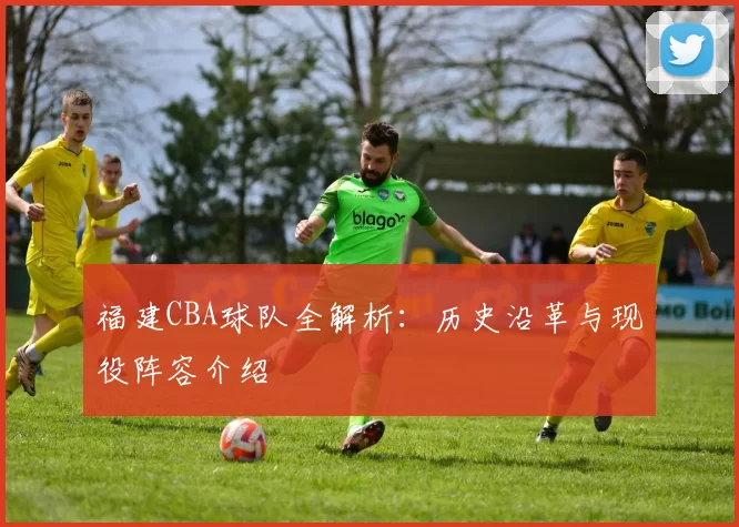 福建CBA球队全解析：历史沿革与现役阵容介绍