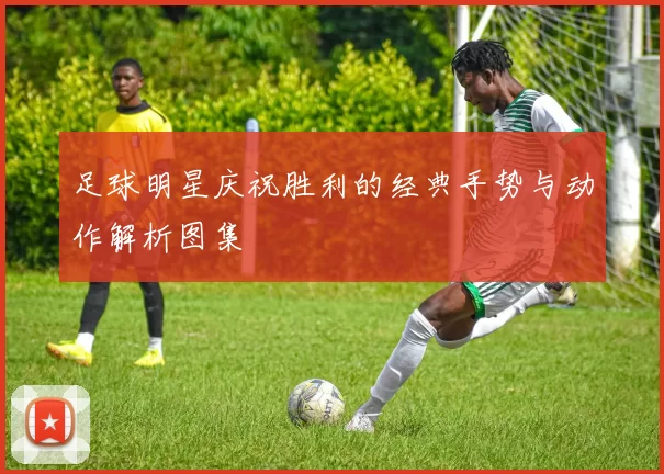 足球明星庆祝胜利的经典手势与动作解析图集