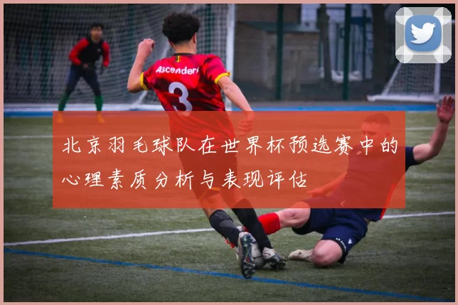 北京羽毛球队在世界杯预选赛中的心理素质分析与表现评估