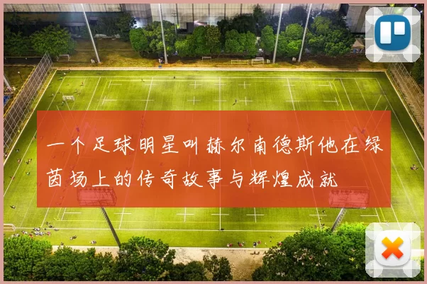一个足球明星叫赫尔南德斯他在绿茵场上的传奇故事与辉煌成就