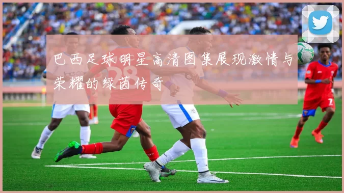 巴西足球明星高清图集展现激情与荣耀的绿茵传奇