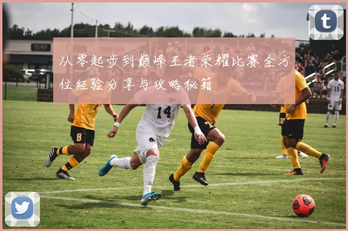 从零起步到巅峰王者荣耀比赛全方位经验分享与攻略秘籍