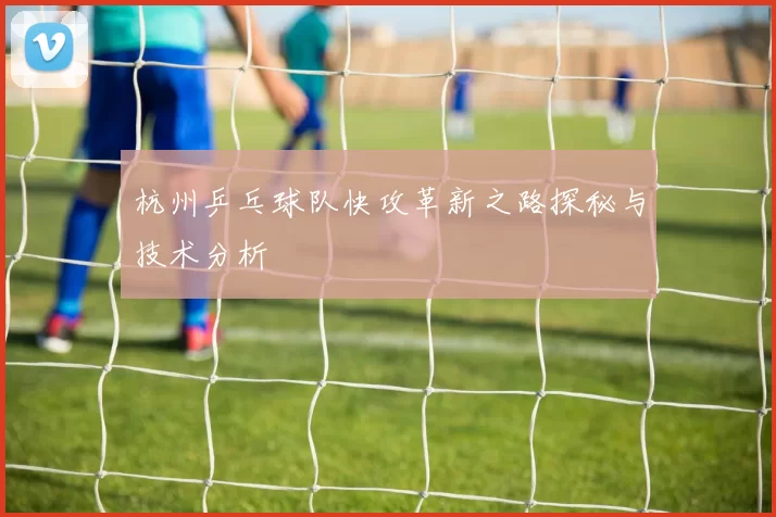 杭州乒乓球队快攻革新之路探秘与技术分析
