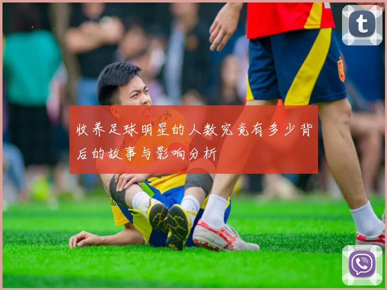 收养足球明星的人数究竟有多少背后的故事与影响分析