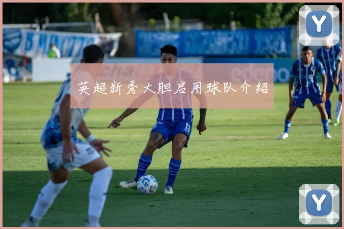 英超新秀大胆启用球队介绍