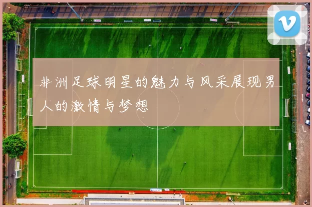 非洲足球明星的魅力与风采展现男人的激情与梦想