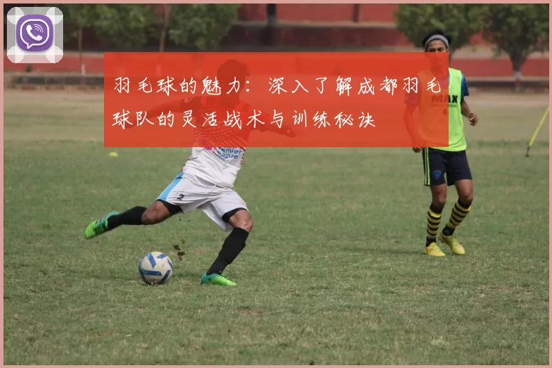 羽毛球的魅力：深入了解成都羽毛球队的灵活战术与训练秘诀