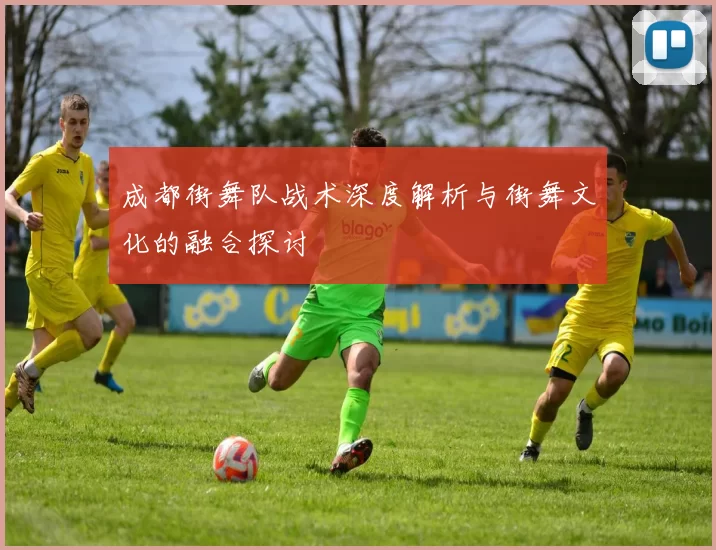成都街舞队战术深度解析与街舞文化的融合探讨