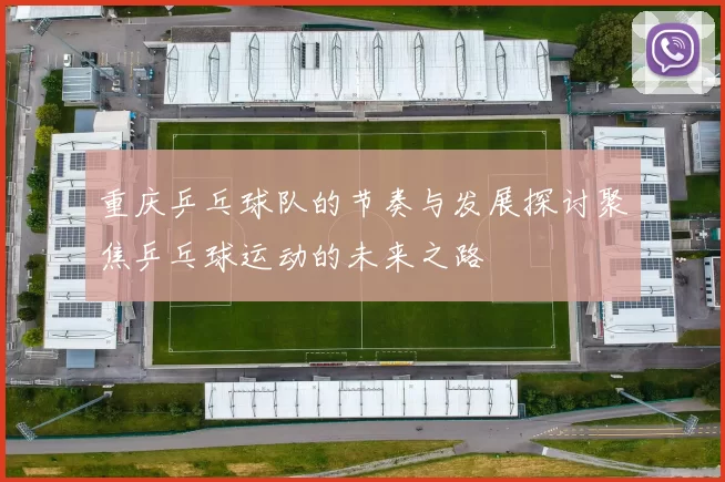 重庆乒乓球队的节奏与发展探讨聚焦乒乓球运动的未来之路