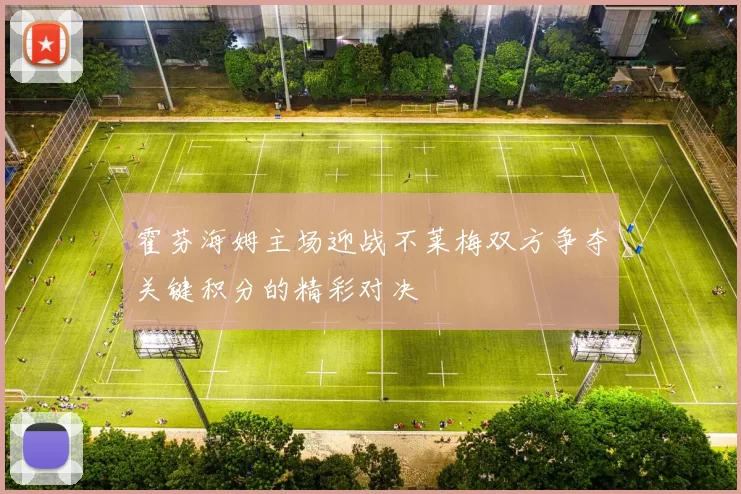 霍芬海姆主场迎战不莱梅双方争夺关键积分的精彩对决