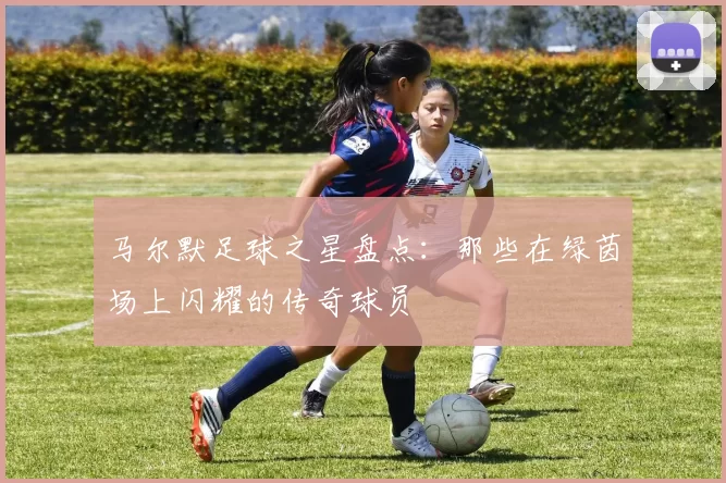 马尔默足球之星盘点：那些在绿茵场上闪耀的传奇球员