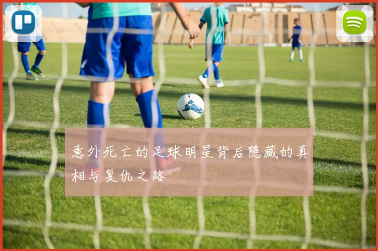 意外死亡的足球明星背后隐藏的真相与复仇之路