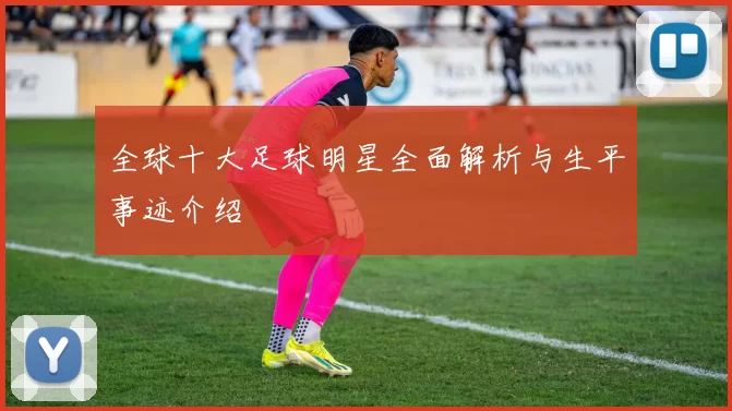 全球十大足球明星全面解析与生平事迹介绍
