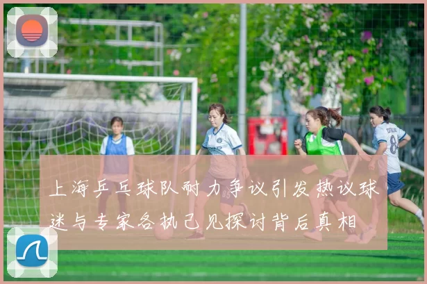 上海乒乓球队耐力争议引发热议球迷与专家各执己见探讨背后真相