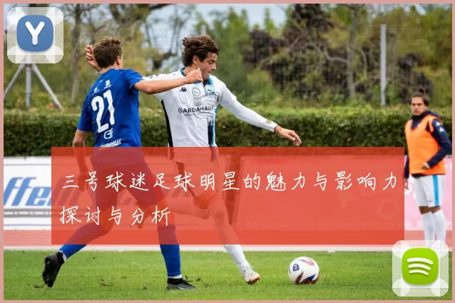 三号球迷足球明星的魅力与影响力探讨与分析