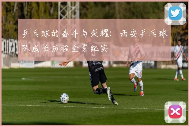 乒乓球的奋斗与荣耀：西安乒乓球队成长历程全景纪实