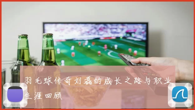 羽毛球传奇刘磊的成长之路与职业生涯回顾