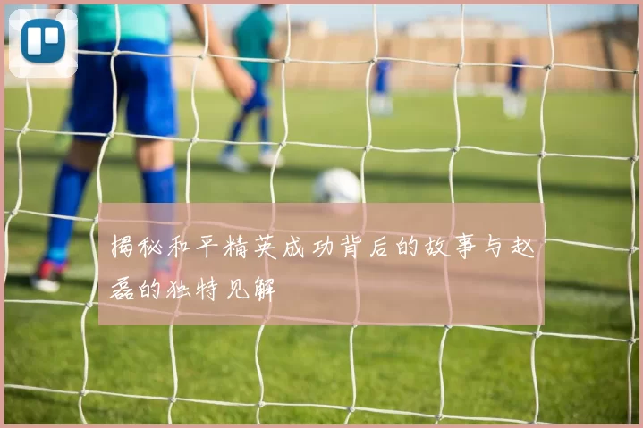 揭秘和平精英成功背后的故事与赵磊的独特见解