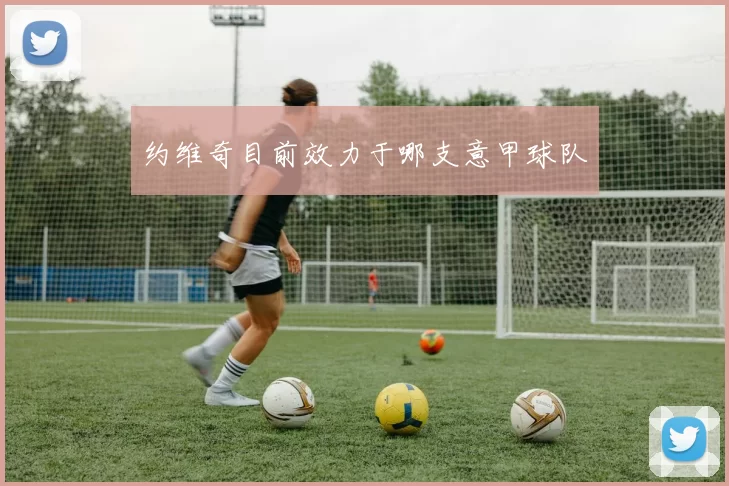 约维奇目前效力于哪支意甲球队