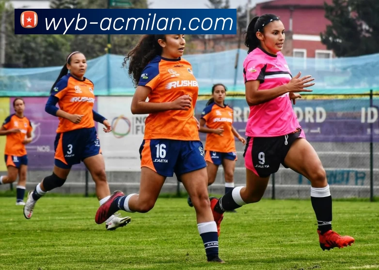 ac米兰官网平台生态图