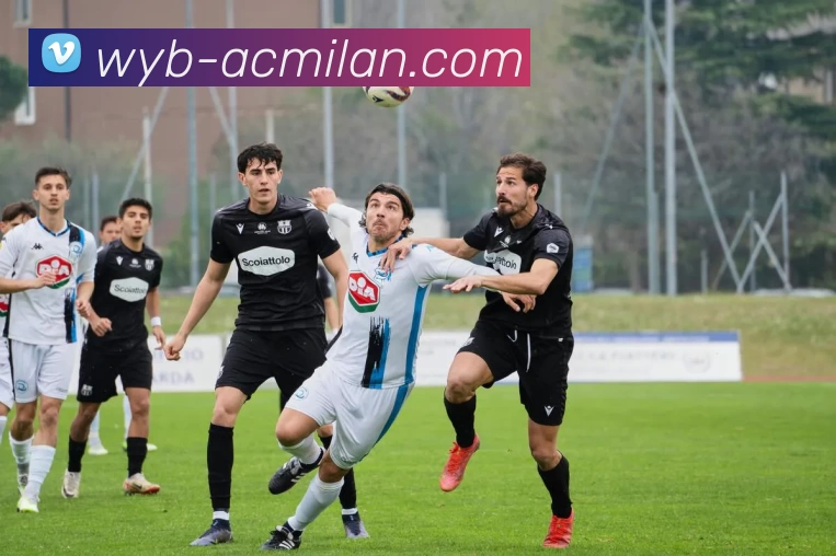 ac米兰官网APP 封面图